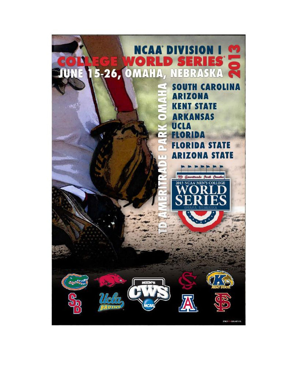 Cws poster-2013 catch the action-8 teams co
